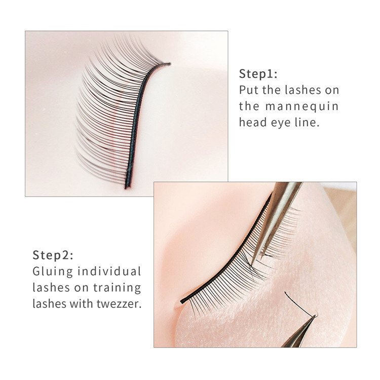 training eyelash-10.jpg